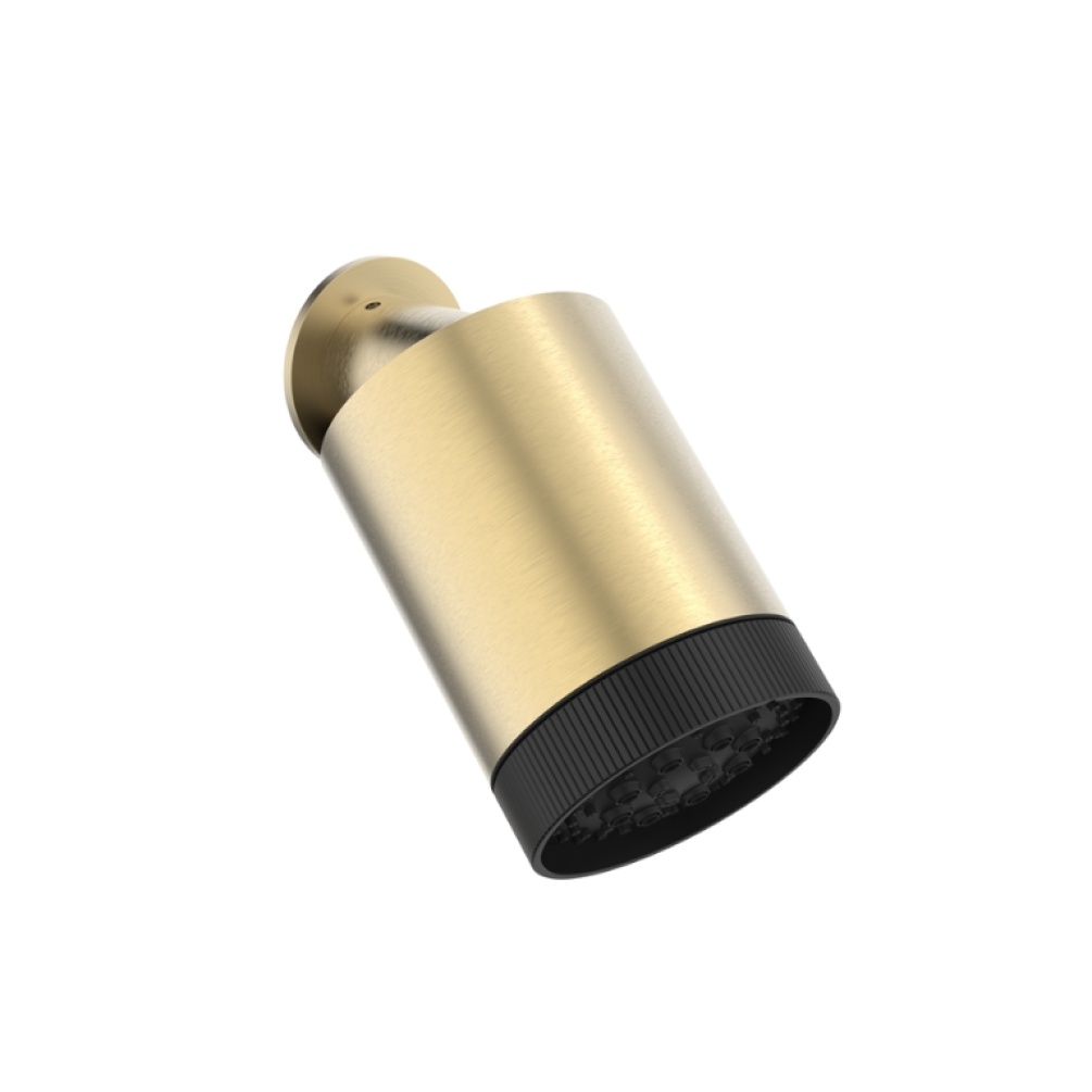 Product Cut out image of the Crosswater Revive Multi Flow Brushed Brass Shower Head